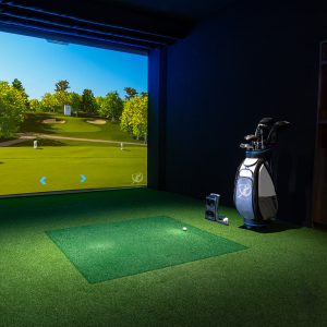 Full Simulator Image